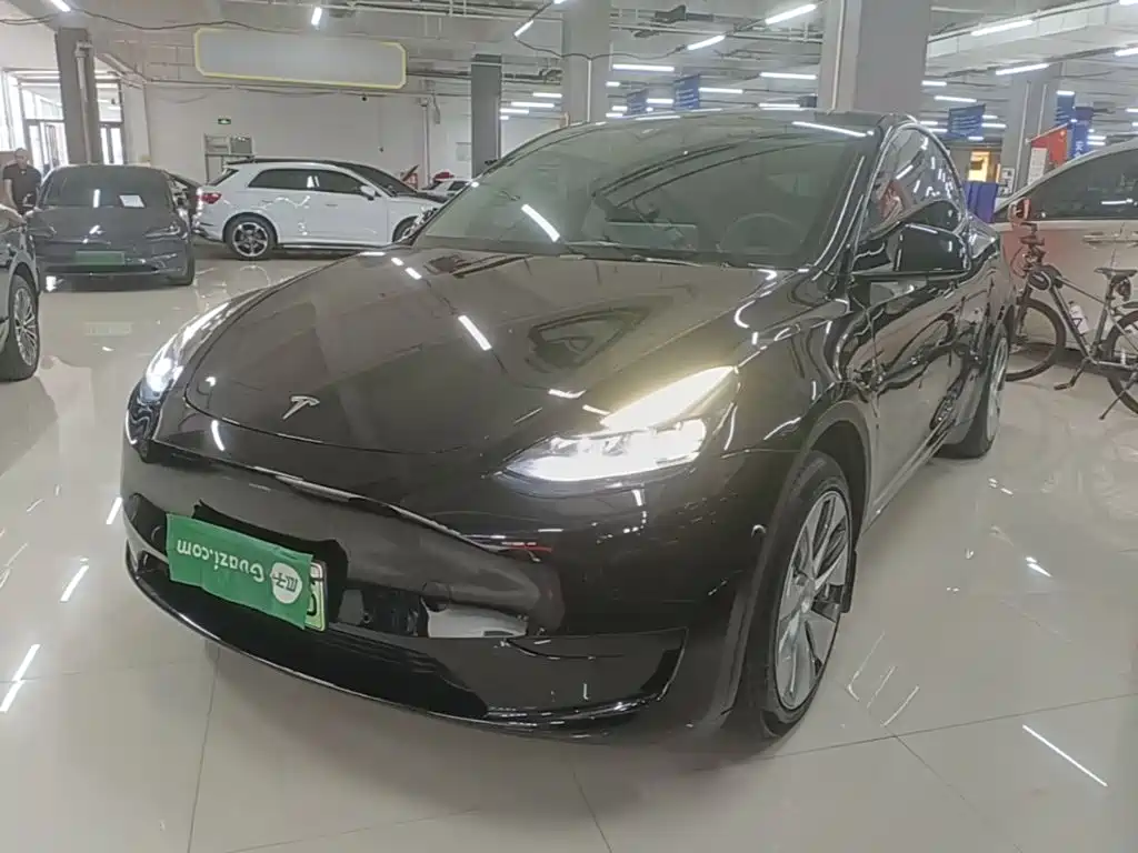 Tesla Model Y — миниатюра 2