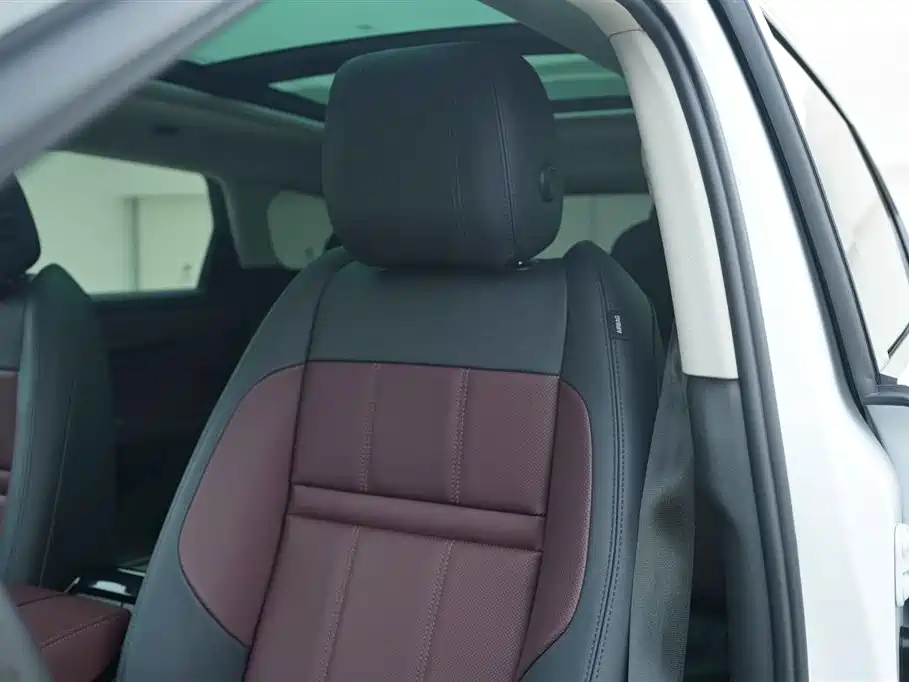 LAND ROVER RANGE ROVER AURORA NEW ENERGY