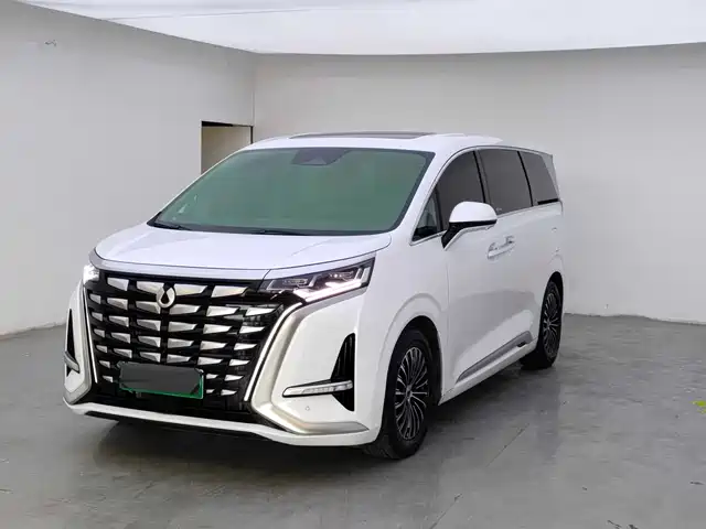 2023 Denza D9