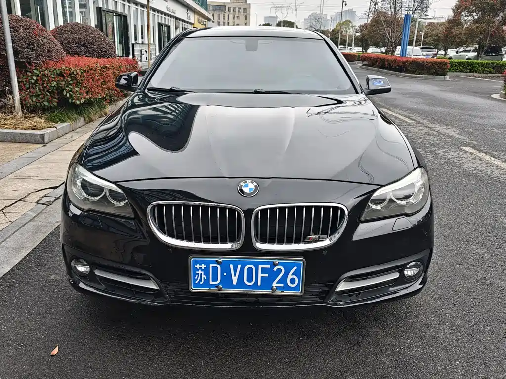 BMW 5 Series 5 2017 528Li Lead