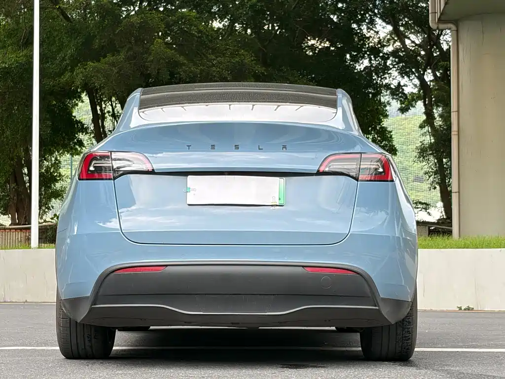 Tesla Model Y — миниатюра 10