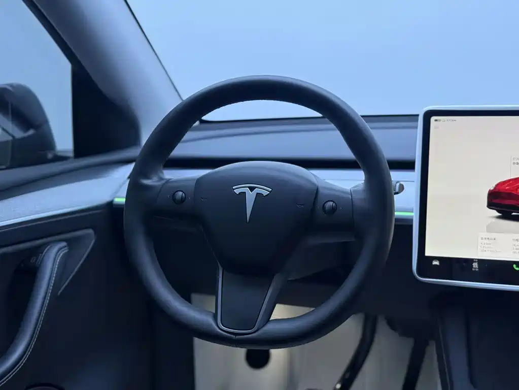 Tesla Model Y — миниатюра 11