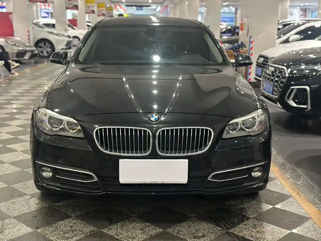 BMW 5 Series — миниатюра 2