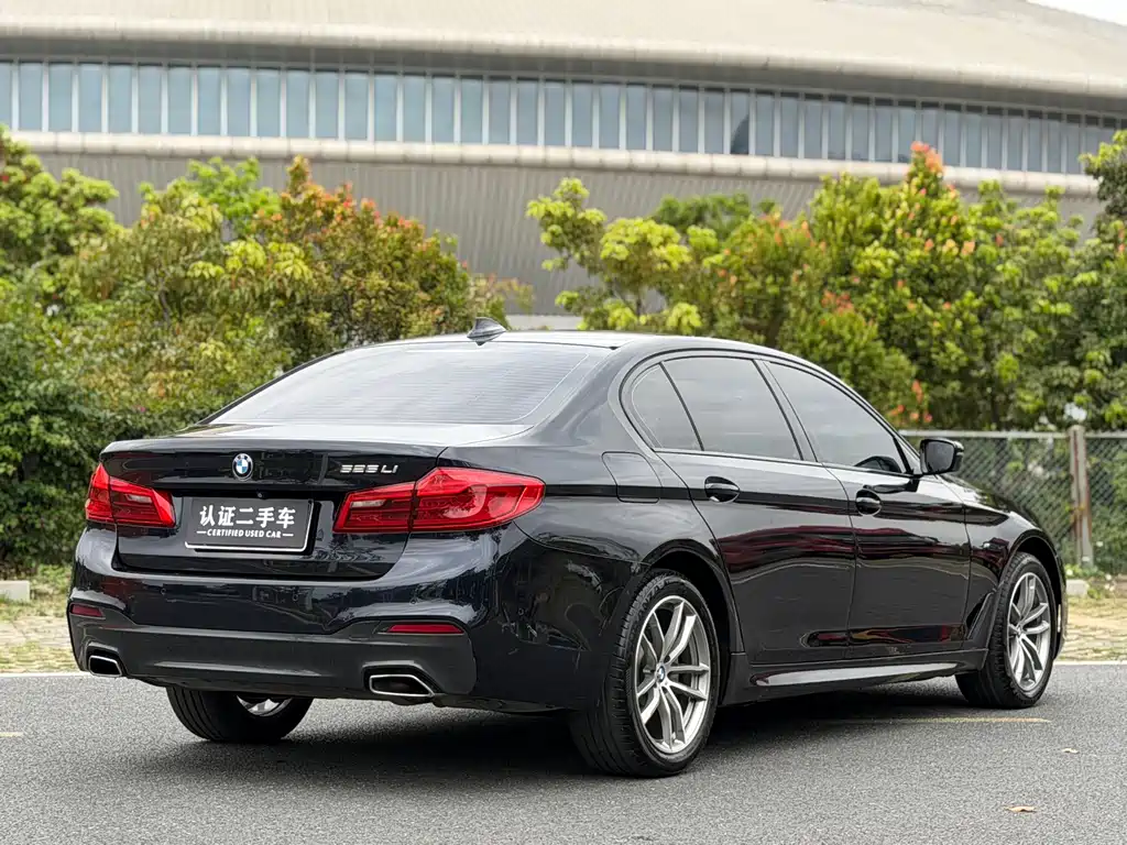 BMW 5 Series 5 2019 525Li M Sport