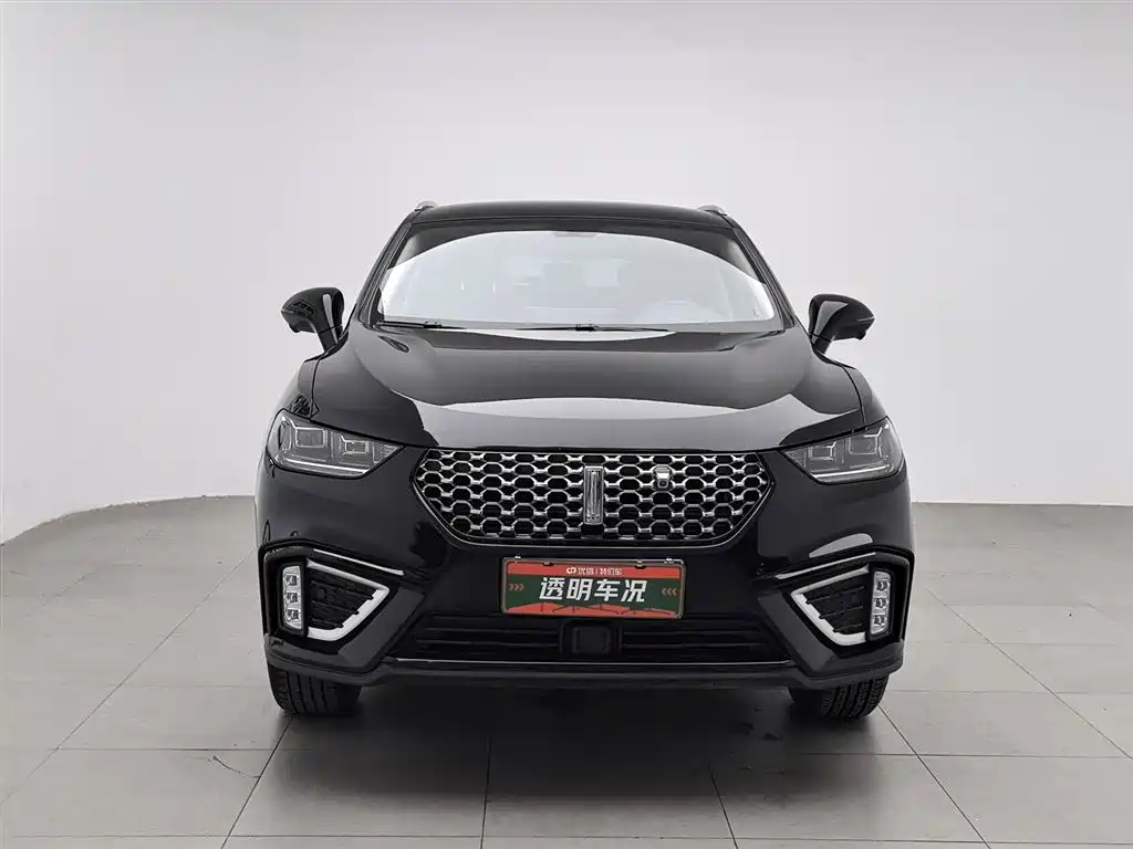 WEI PAI WEI BRAND VV5