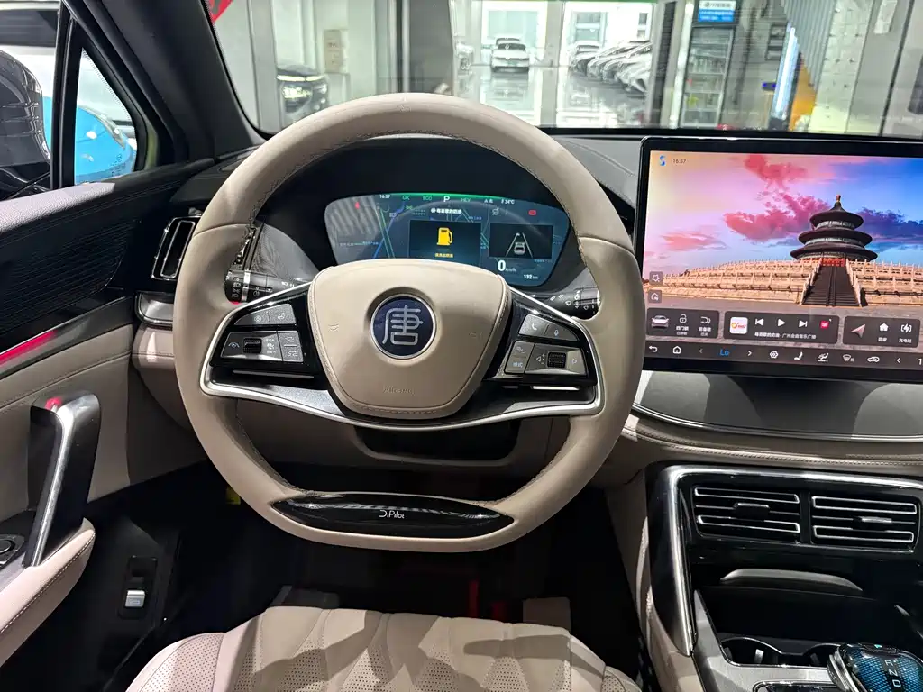 BYD Tang New Energy — миниатюра 9