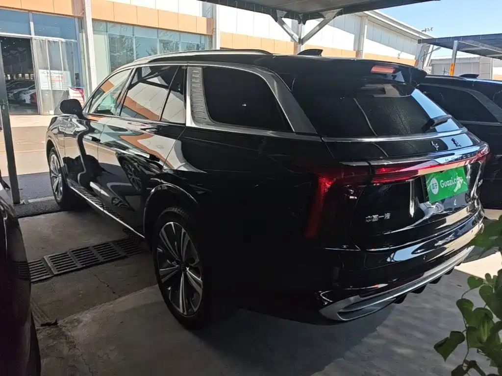 Hongqi E-HS9 — фотографии объявления, Фото 6