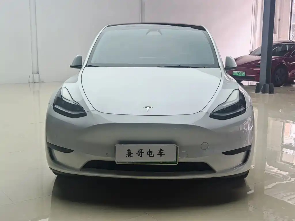 Tesla Model Y — миниатюра 2