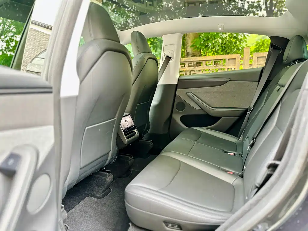 Tesla Model Y — миниатюра 12