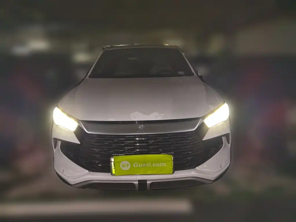 BYD Pro New Energy — миниатюра 2