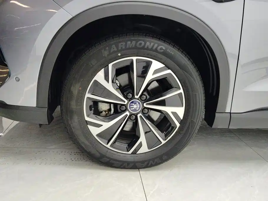 BYD Pro New Energy — миниатюра 6
