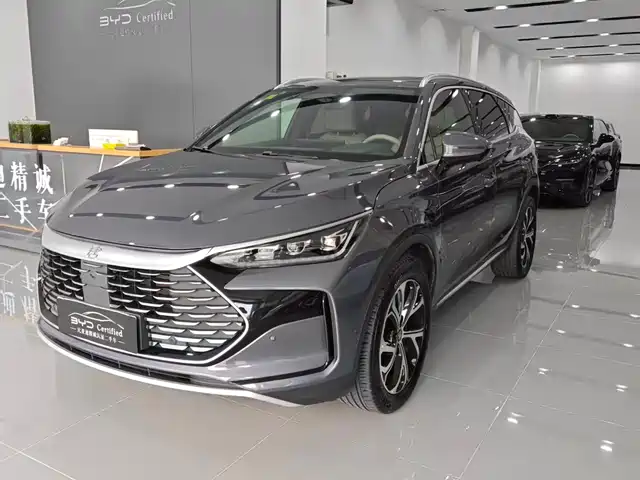 BYD TANGXIN ENERGY 2025