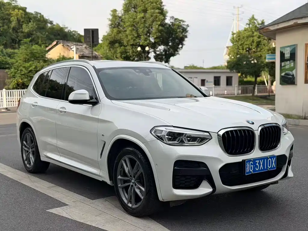 BMW X3 — миниатюра 3