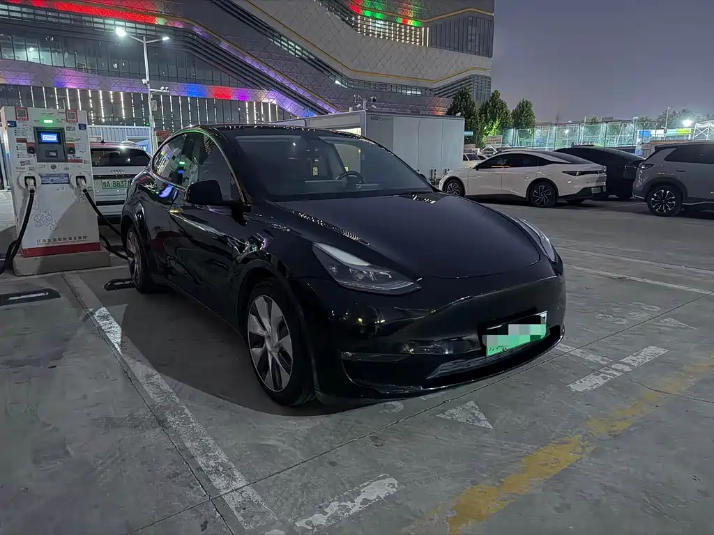 Tesla Model Y — миниатюра 3