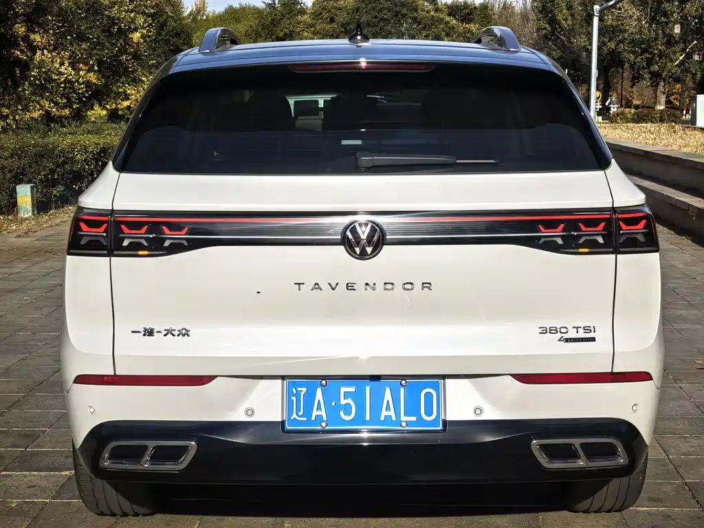 Volkswagen Tavendor — миниатюра 15