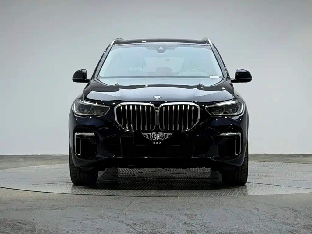 BMW X5 — миниатюра 2