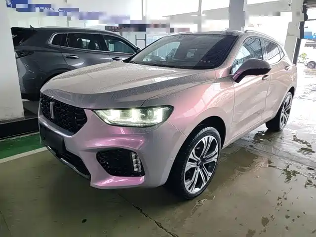 2017 Wey VV5