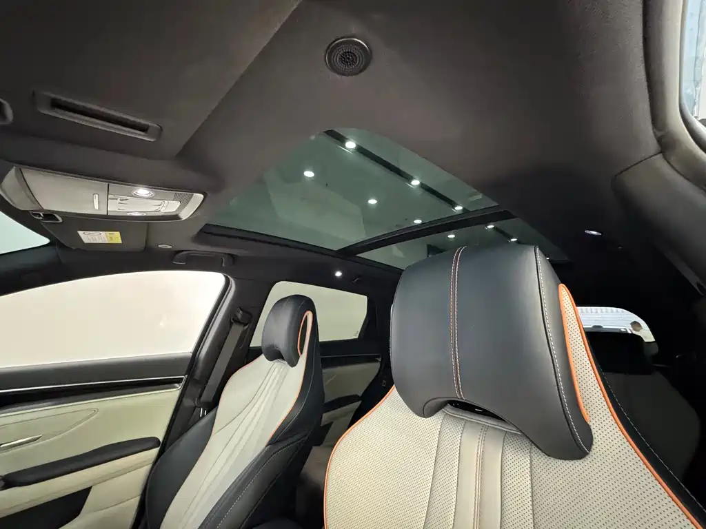 BYD PLUS New Energy — миниатюра 21