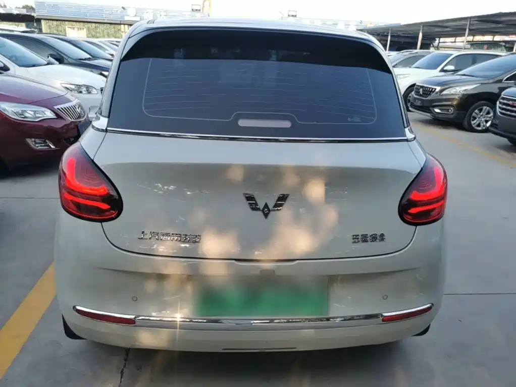 Wuling Binguo 2024 333km Enjoy