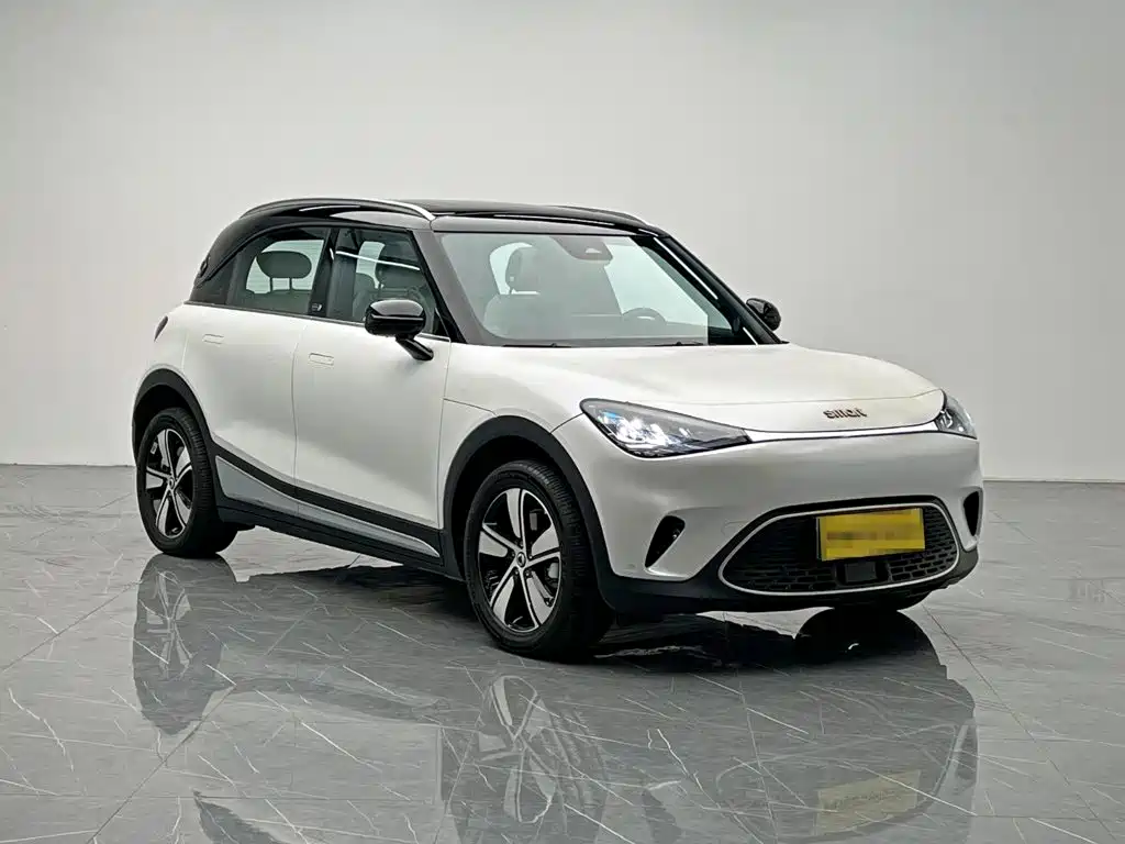 smart Smart #1 — миниатюра 8