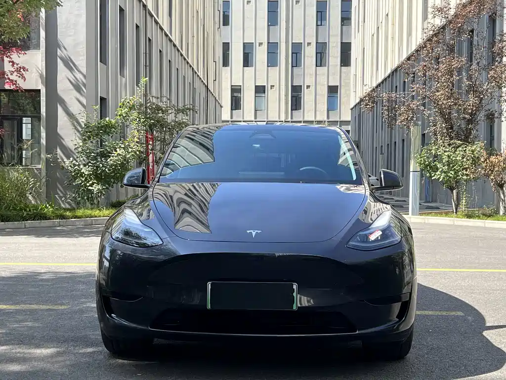 Tesla Model Y — миниатюра 2