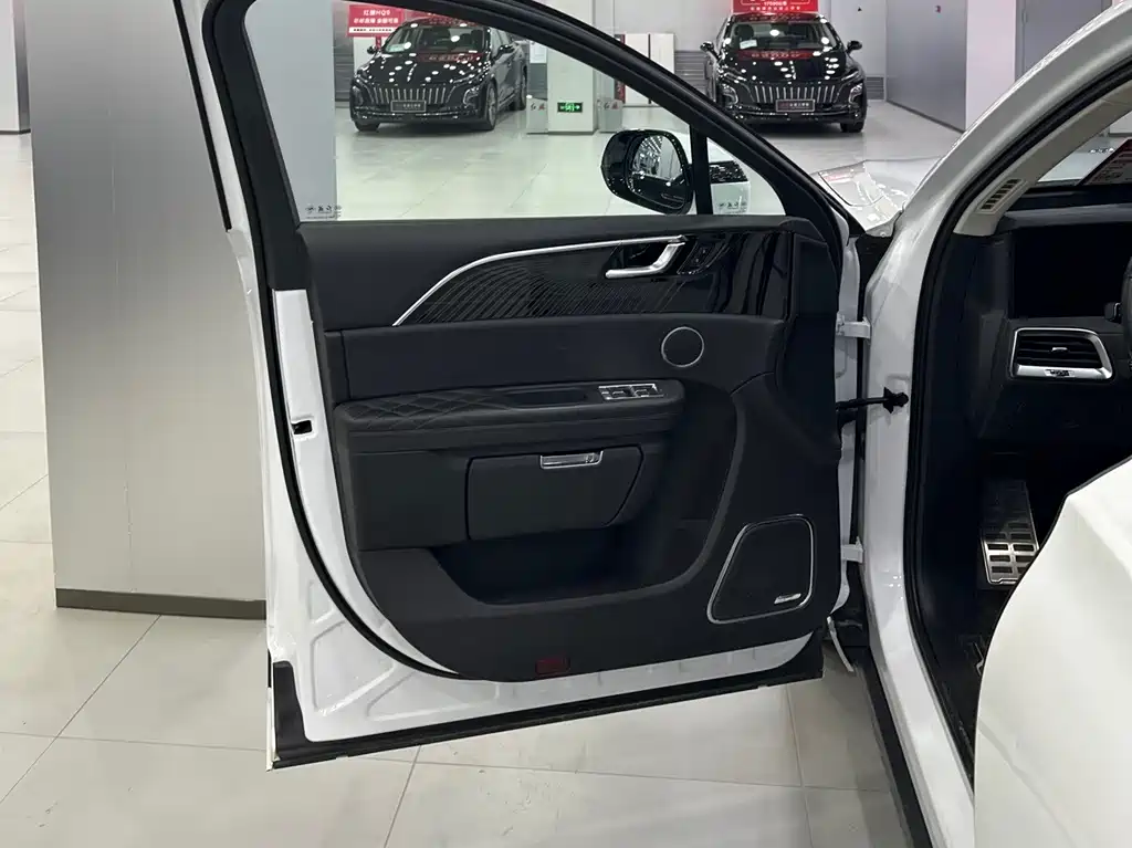 Hongqi HONGQI E HS9