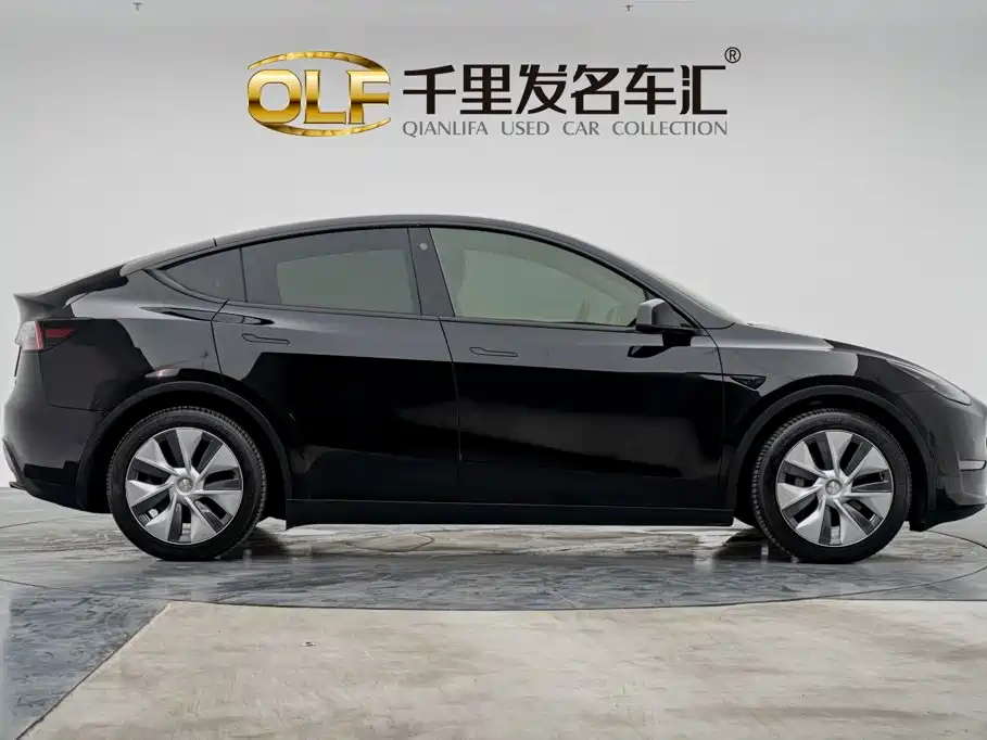 Tesla Model Y — миниатюра 7