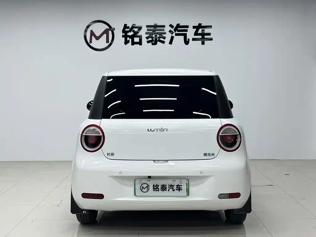 Qiyuan Lumin — миниатюра 9