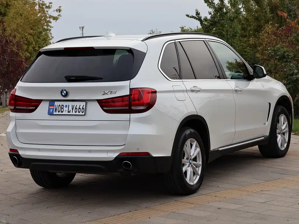 BMW X5 (Import) — миниатюра 10