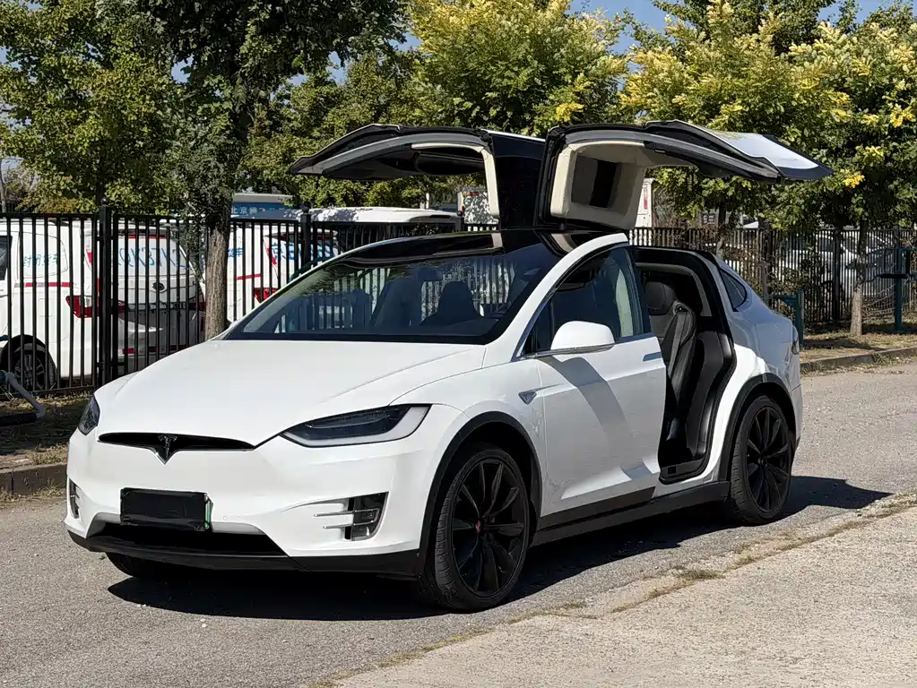 Tesla Model X — миниатюра 9