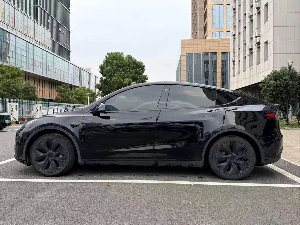 Tesla Model Y — миниатюра 3