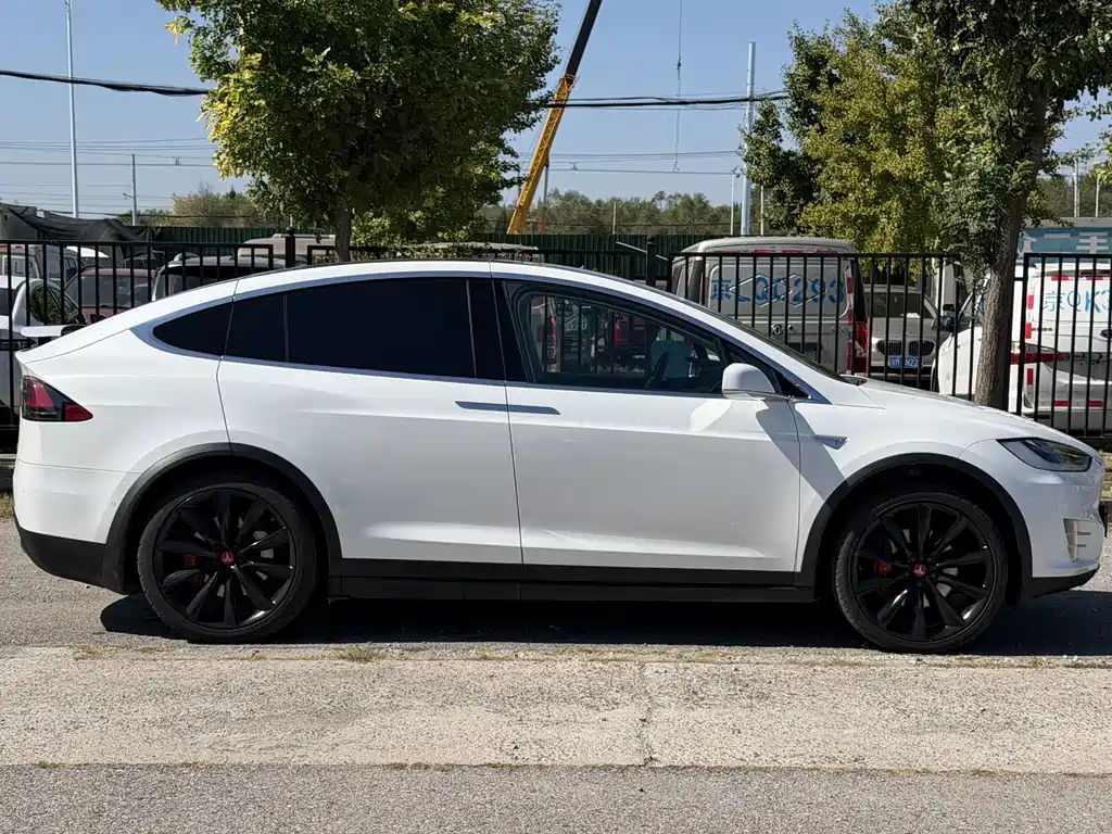 Tesla Model X — миниатюра 7