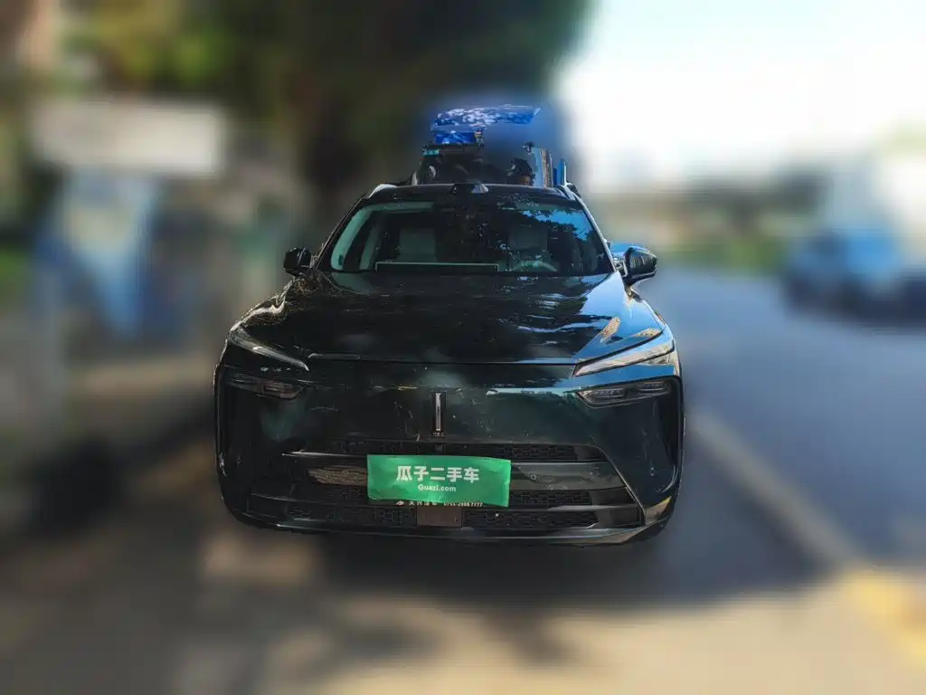 Wey Wey Lanshan — миниатюра 2