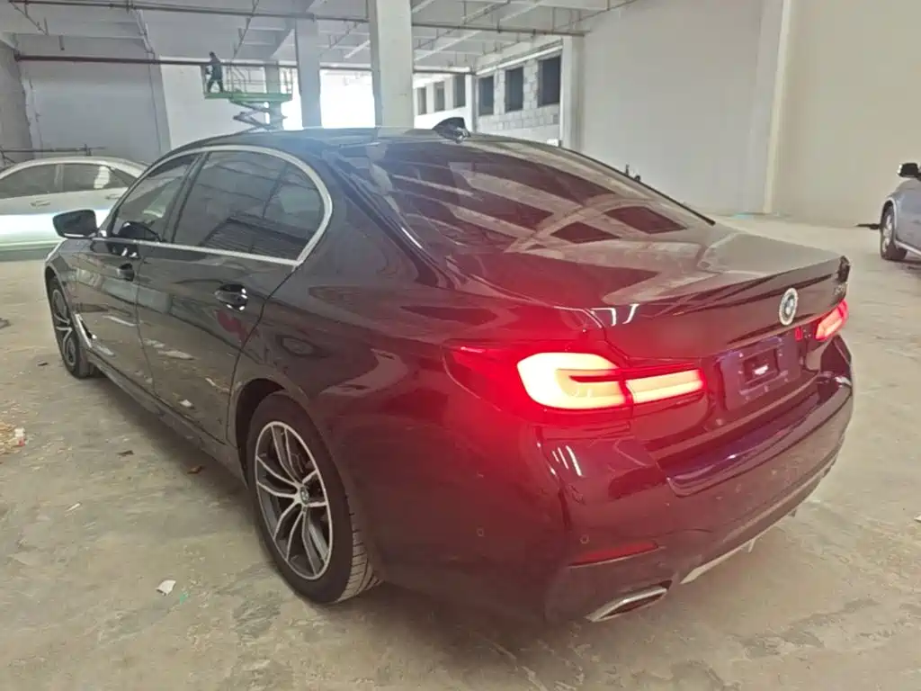 BMW 5 Series New Energy — миниатюра 5