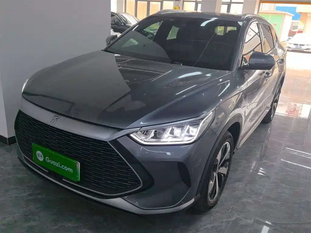 Byd PLUS New Energy 2021