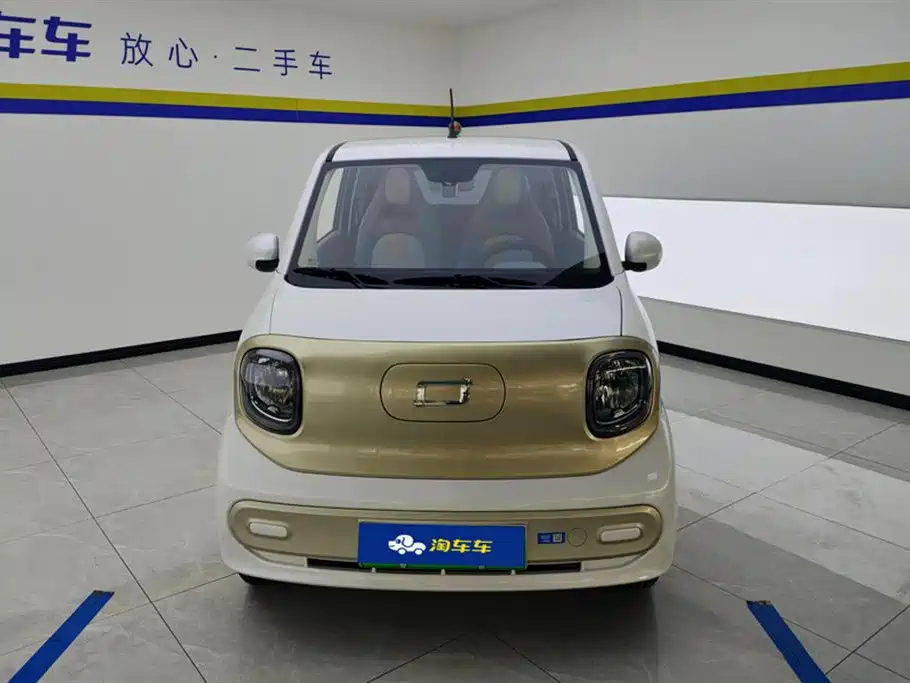 BESTUNE PENTIUM PONY