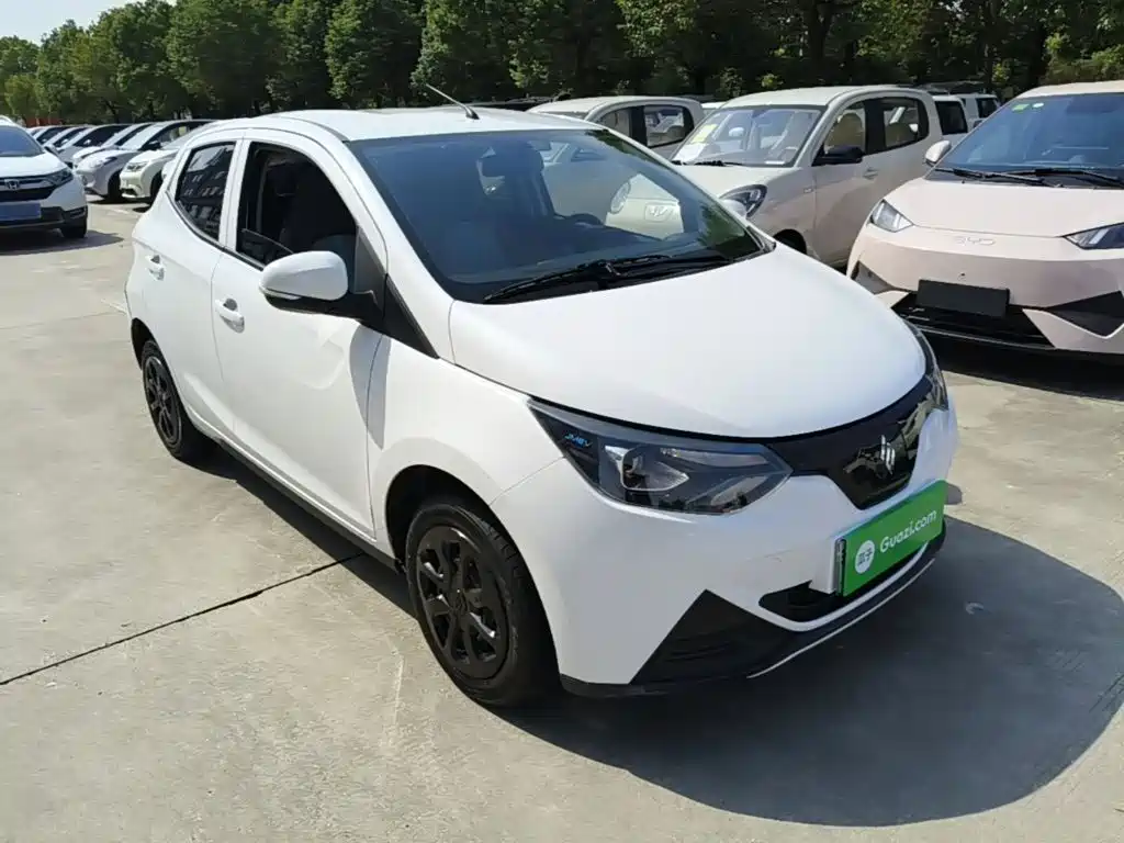 JMEV EV2 — миниатюра 4