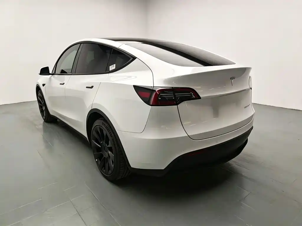 Tesla Model Y — миниатюра 5