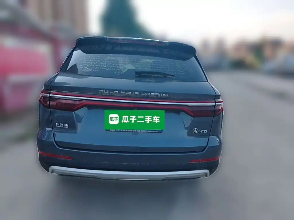 BYD Pro — миниатюра 3