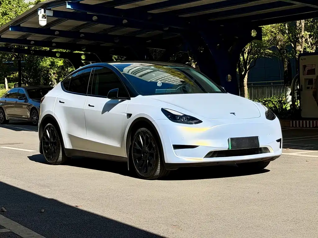 Tesla Model Y — миниатюра 3