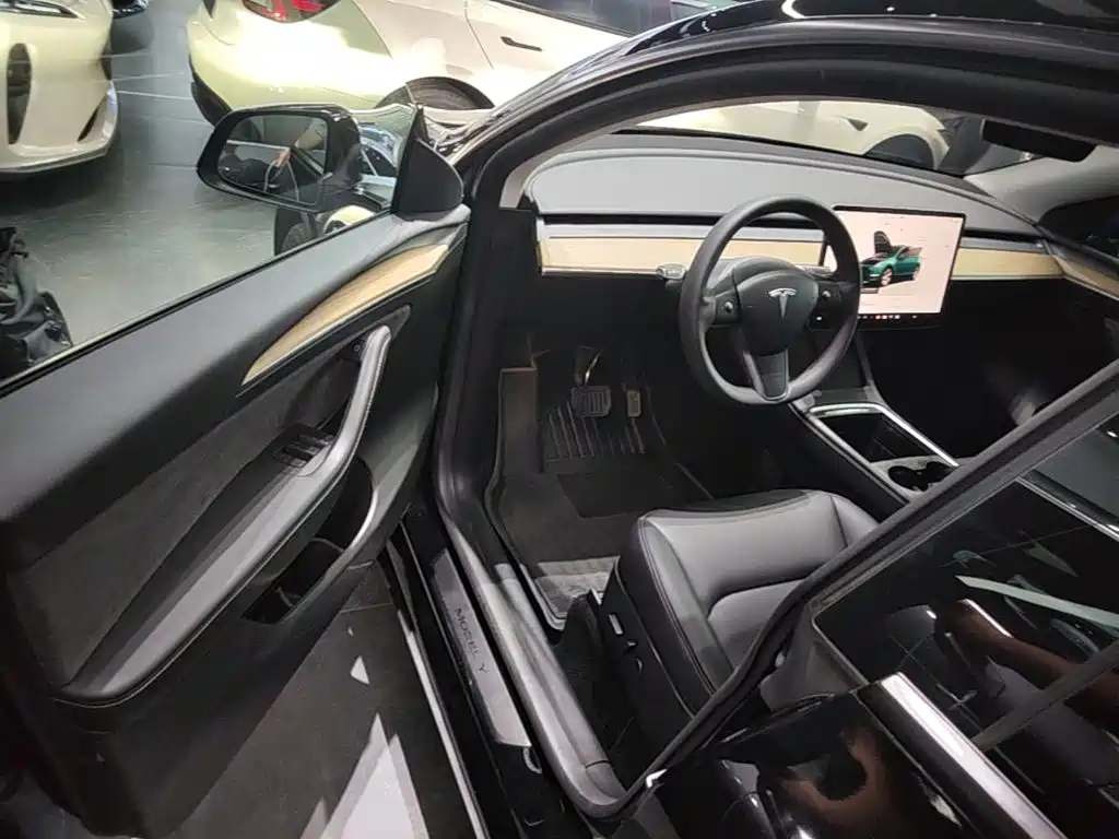 Tesla Model Y — миниатюра 16