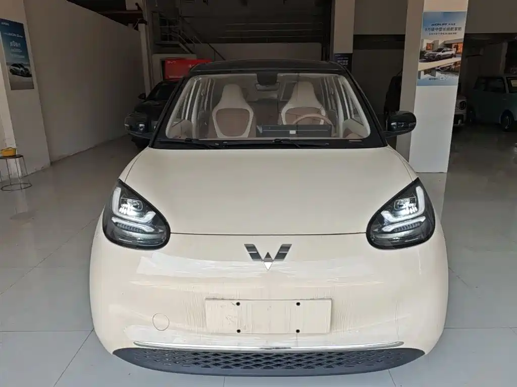 Wuling Binguo 2025 333km Enjoy
