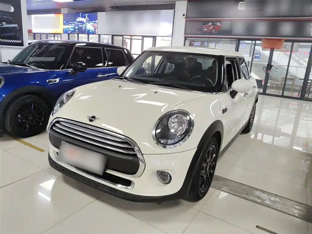Mini Mini 2021
