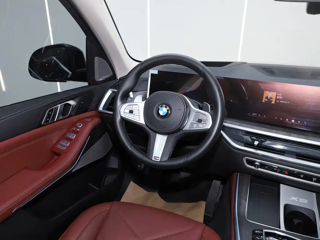 BMW X5 — миниатюра 11