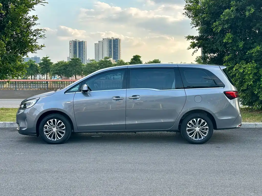 Buick GL8 — миниатюра 3