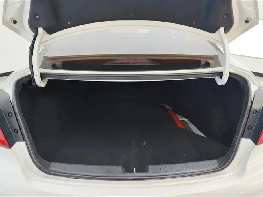 HYUNDAI NAME PICTURE