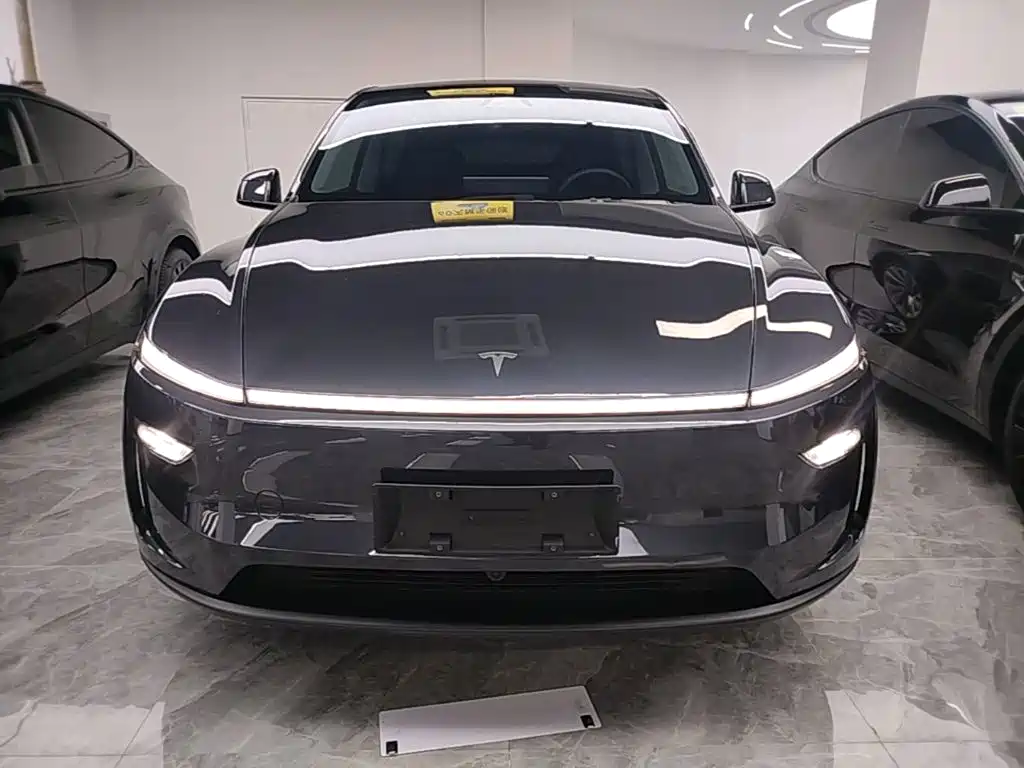Tesla Model Y — миниатюра 3
