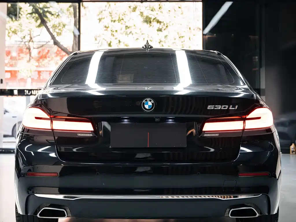 BMW 5 Series — миниатюра 4