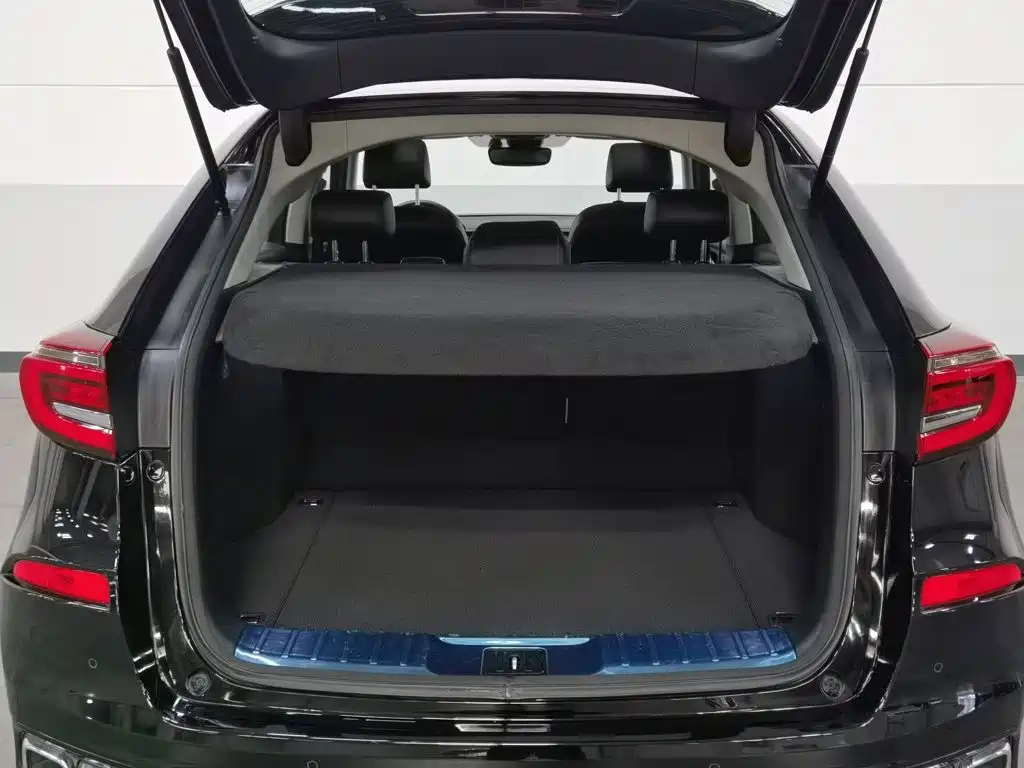 Honda Avancier — миниатюра 16