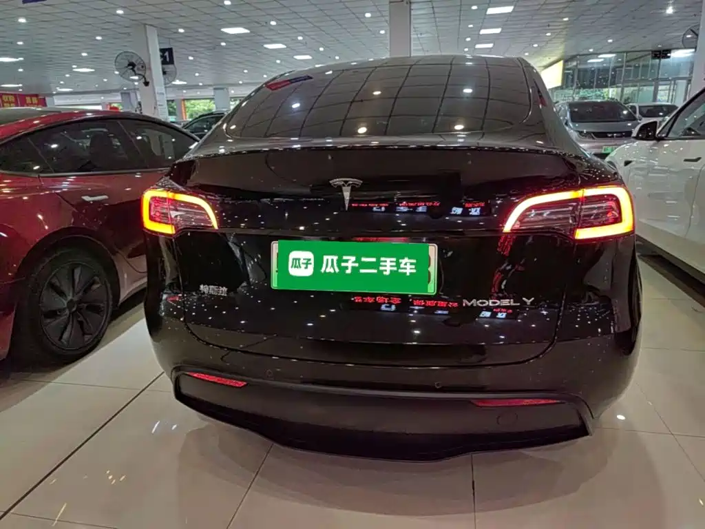 Tesla Model Y — миниатюра 6